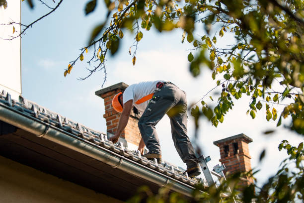 Best Gutter Installation and Roofing  in Port Jervis, NY